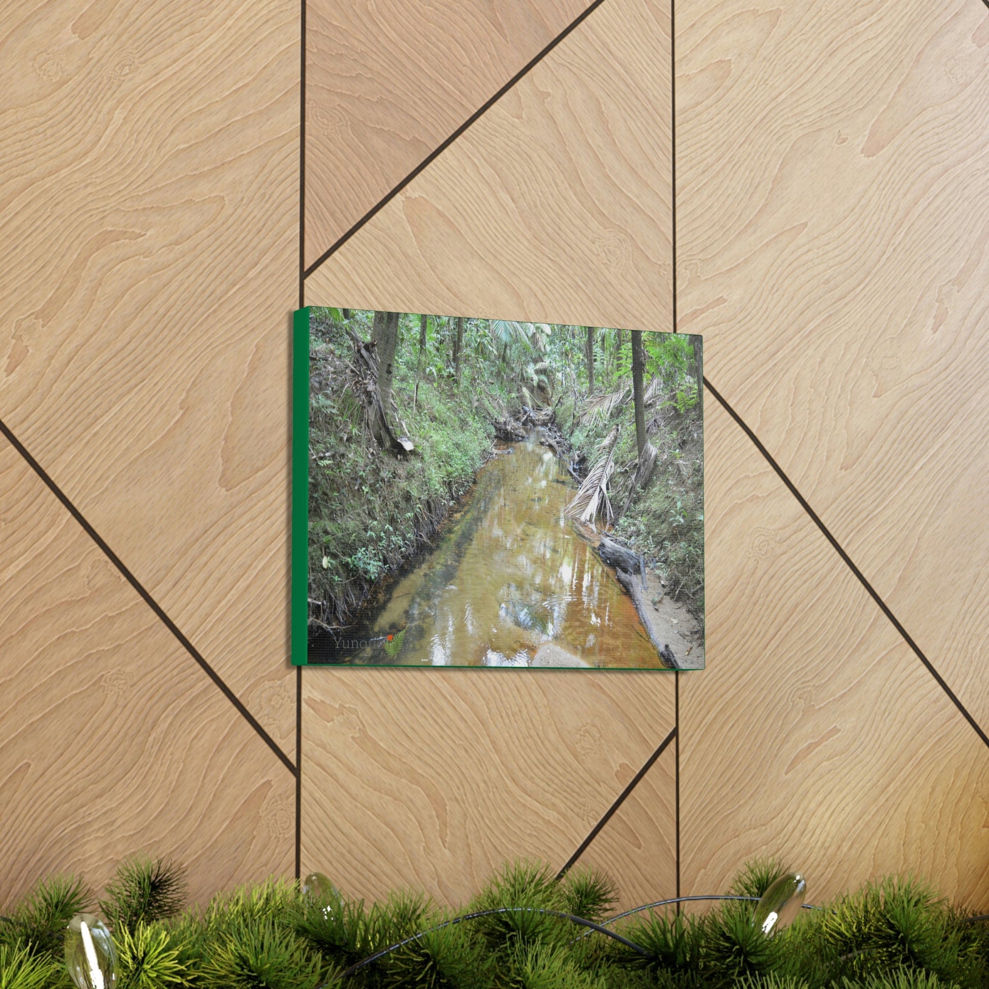 Explorations - Smaller Low-Cost Canvas Gallery Wraps - The Holy Spirit river explorations - El yunque rainforest PR - Green Forest Home