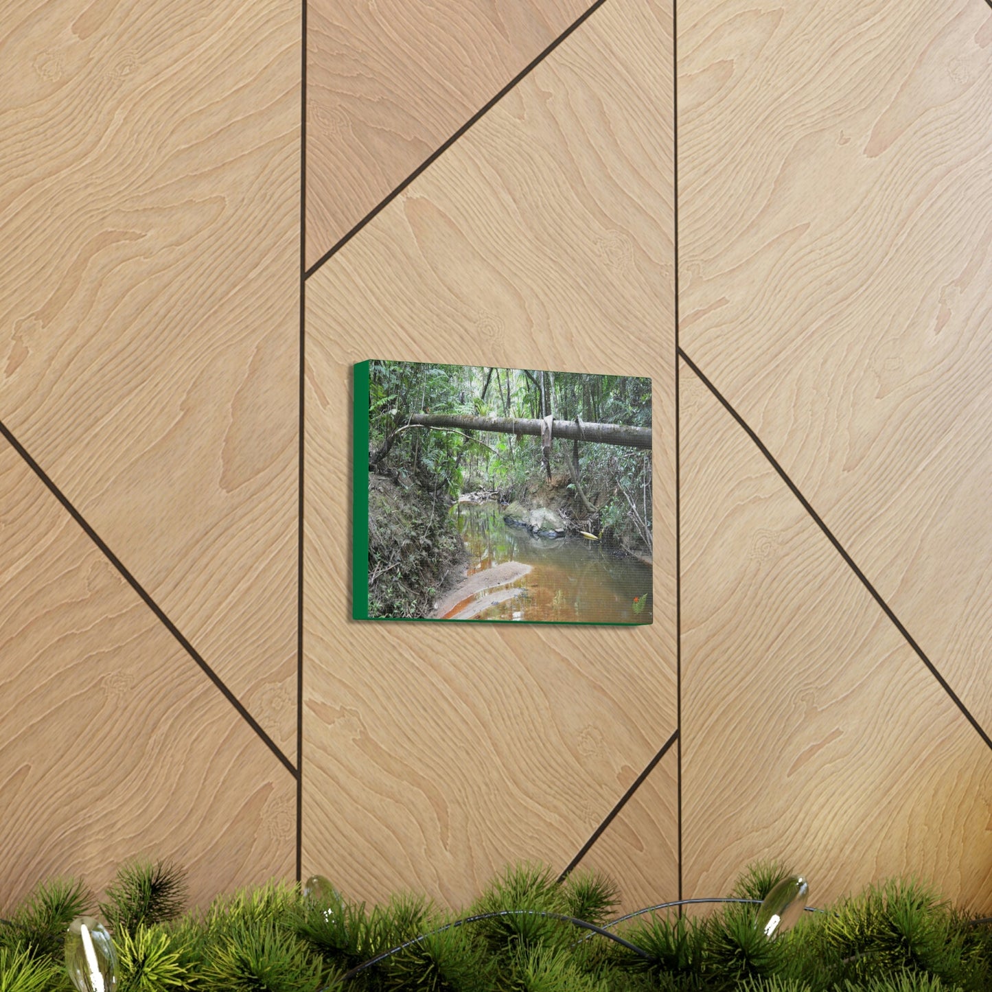 Explorations - Smaller Low-Cost Canvas Gallery Wraps - The Holy Spirit river explorations - El yunque rainforest PR - Green Forest Home