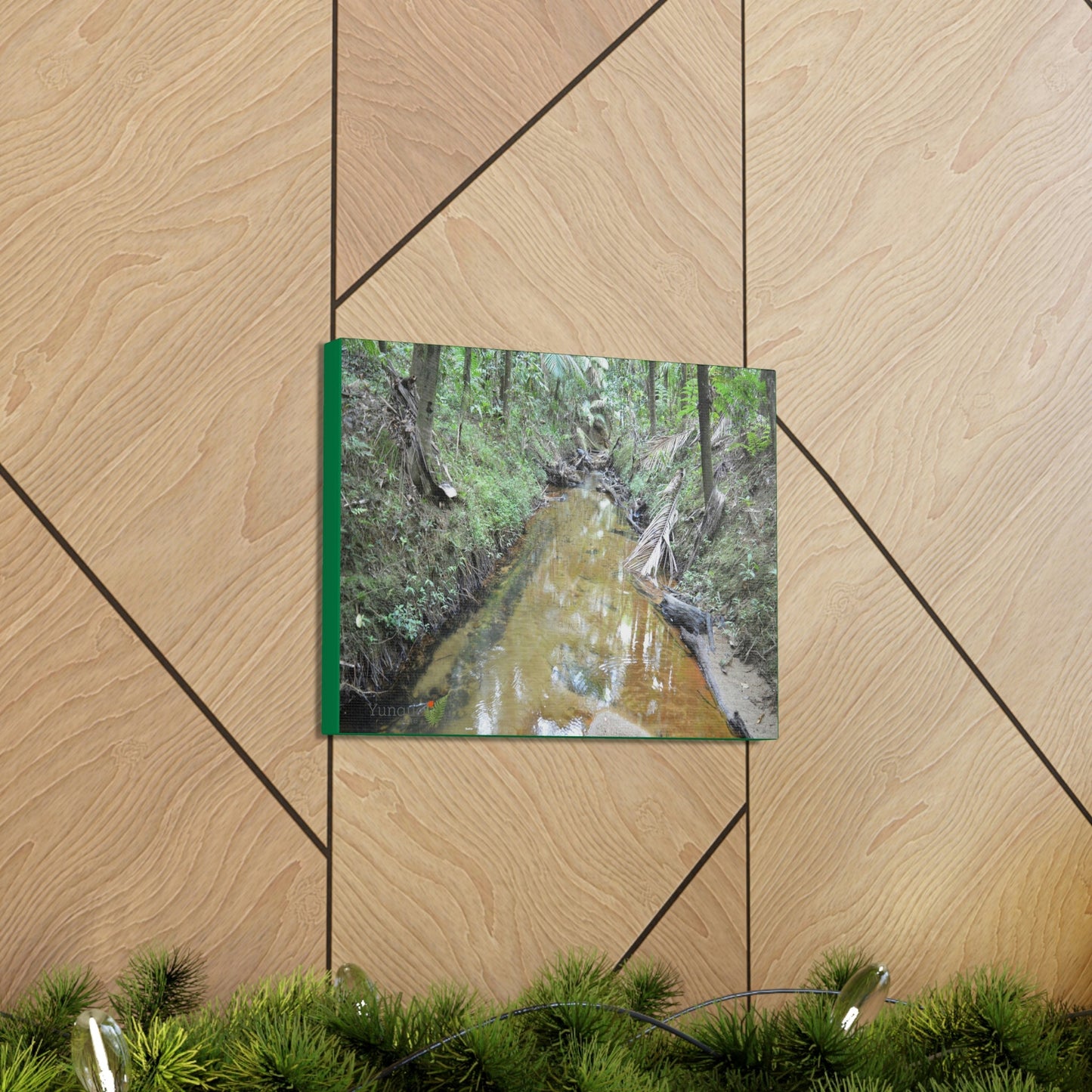 Explorations - Smaller Low-Cost Canvas Gallery Wraps - The Holy Spirit river explorations - El yunque rainforest PR - Green Forest Home