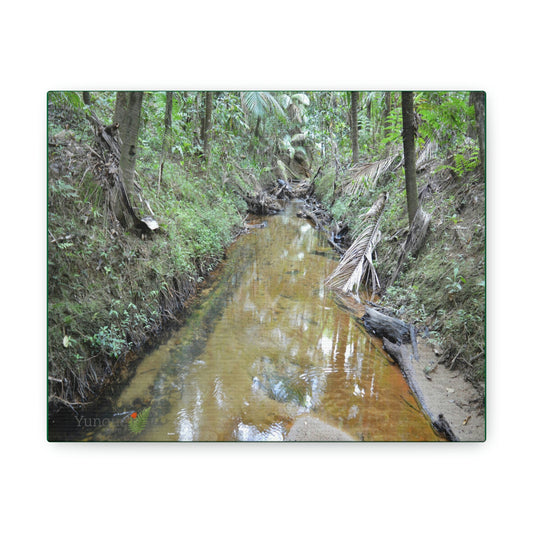 Explorations - Smaller Low-Cost Canvas Gallery Wraps - The Holy Spirit river explorations - El yunque rainforest PR - Green Forest Home