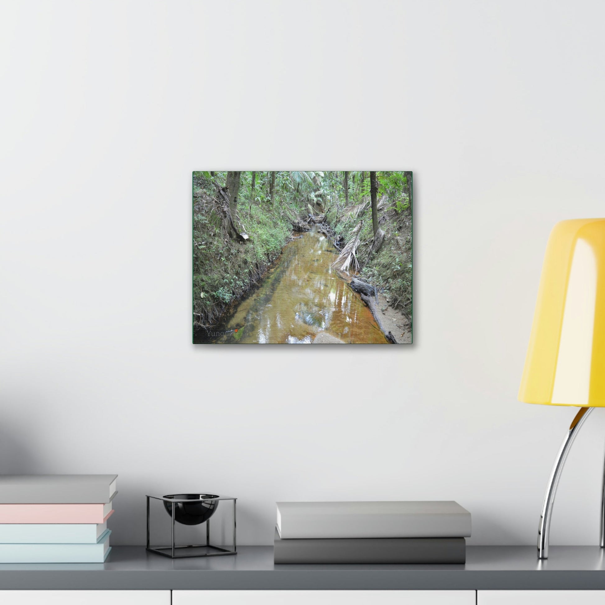 Explorations - Smaller Low-Cost Canvas Gallery Wraps - The Holy Spirit river explorations - El yunque rainforest PR - Green Forest Home