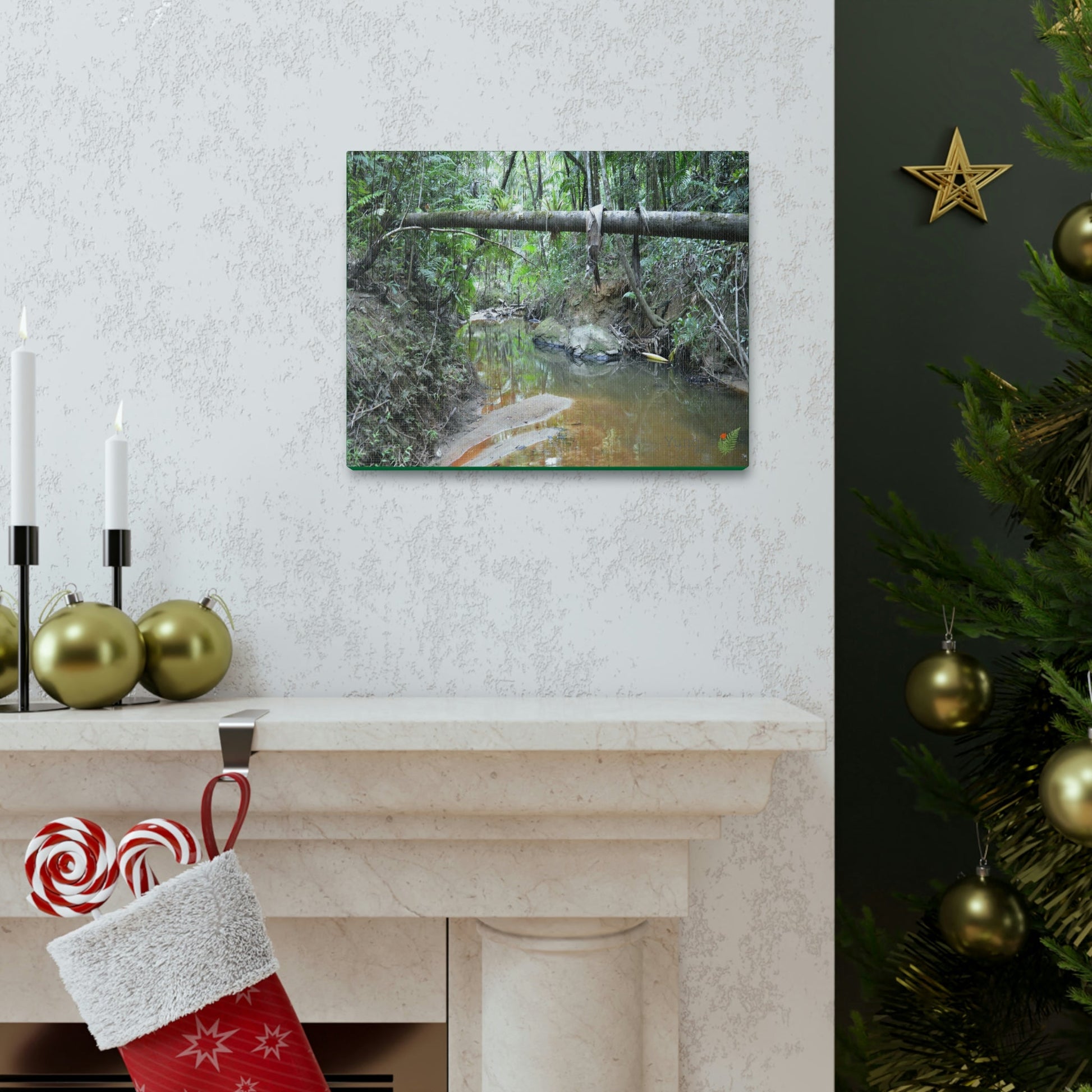 Explorations - Smaller Low-Cost Canvas Gallery Wraps - The Holy Spirit river explorations - El yunque rainforest PR - Green Forest Home
