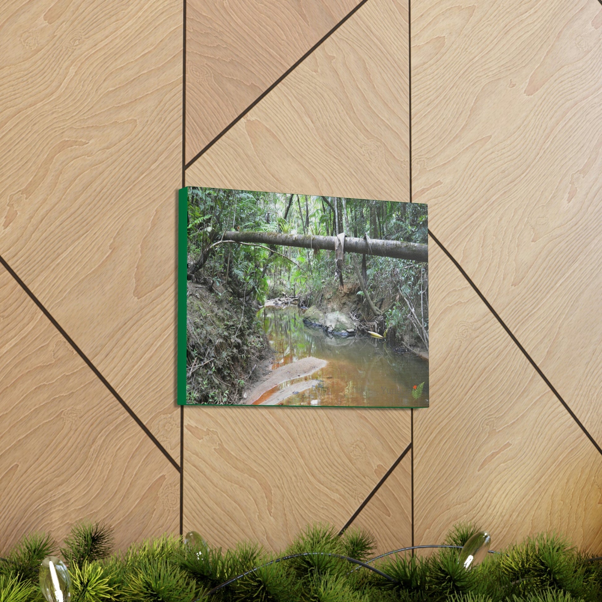 Explorations - Smaller Low-Cost Canvas Gallery Wraps - The Holy Spirit river explorations - El yunque rainforest PR - Green Forest Home