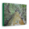 Explorations - Smaller Low-Cost Canvas Gallery Wraps - The Holy Spirit river explorations - El yunque rainforest PR - Green Forest Home