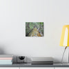 Explorations - Smaller Low-Cost Canvas Gallery Wraps - The Holy Spirit river explorations - El yunque rainforest PR - Green Forest Home