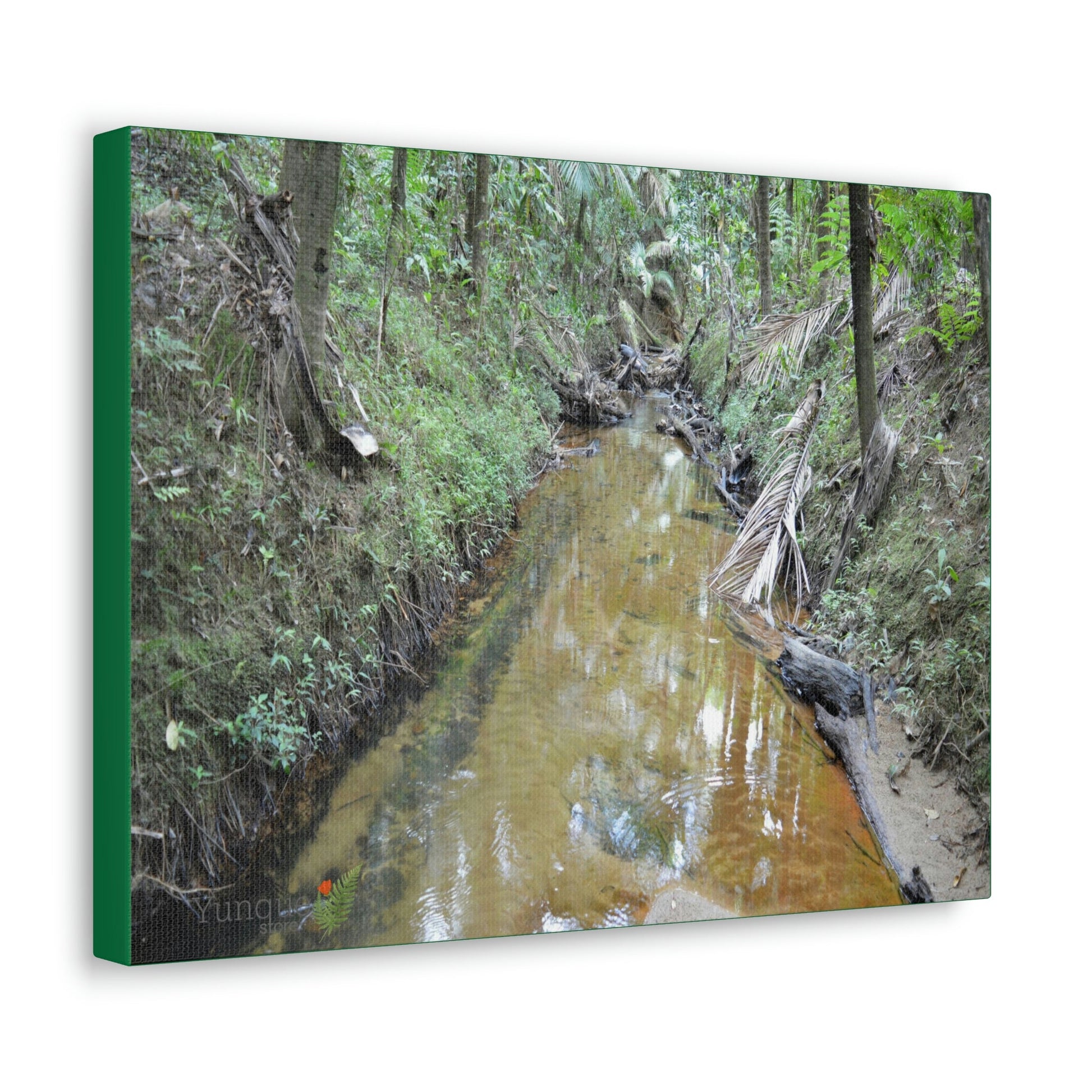Explorations - Smaller Low-Cost Canvas Gallery Wraps - The Holy Spirit river explorations - El yunque rainforest PR - Green Forest Home