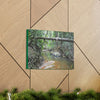 Explorations - Smaller Low-Cost Canvas Gallery Wraps - The Holy Spirit river explorations - El yunque rainforest PR - Green Forest Home