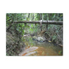 Explorations - Smaller Low-Cost Canvas Gallery Wraps - The Holy Spirit river explorations - El yunque rainforest PR - Green Forest Home