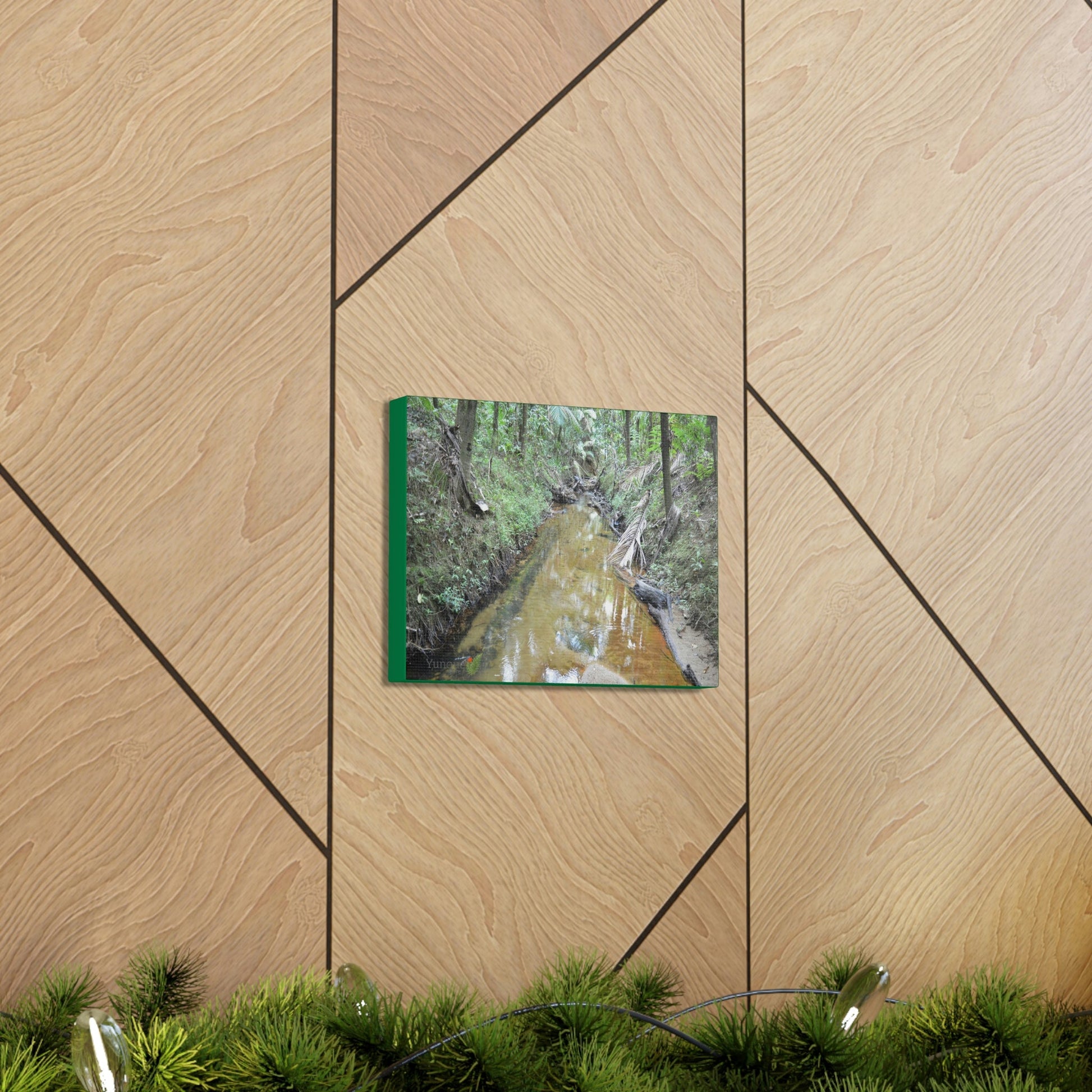 Explorations - Smaller Low-Cost Canvas Gallery Wraps - The Holy Spirit river explorations - El yunque rainforest PR - Green Forest Home