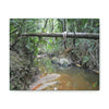 Explorations - Smaller Low-Cost Canvas Gallery Wraps - The Holy Spirit river explorations - El yunque rainforest PR - Green Forest Home
