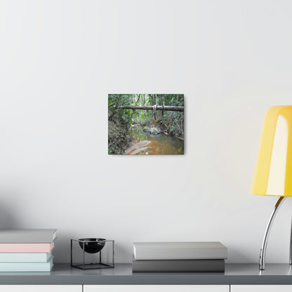Explorations - Smaller Low-Cost Canvas Gallery Wraps - The Holy Spirit river explorations - El yunque rainforest PR - Green Forest Home