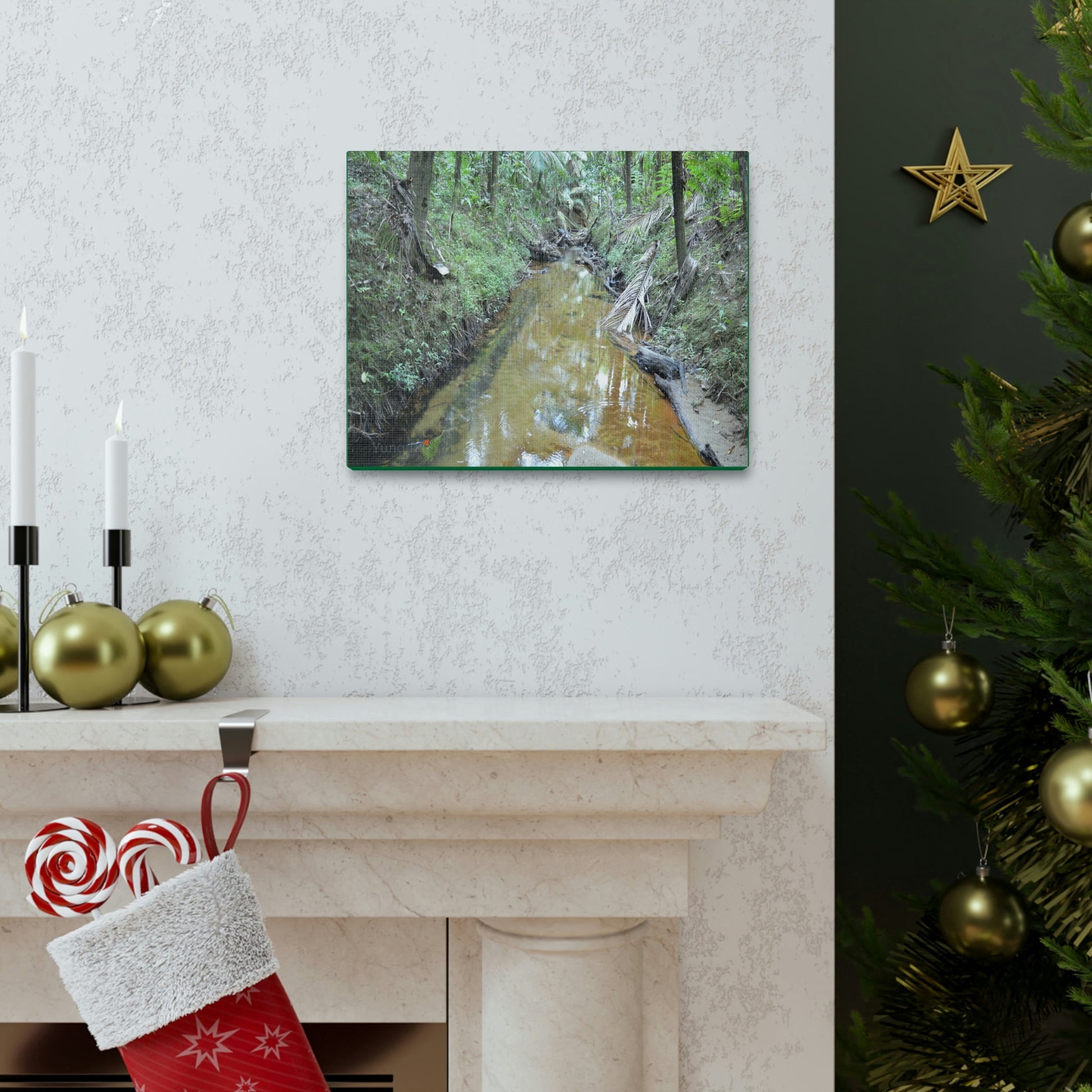 Explorations - Smaller Low-Cost Canvas Gallery Wraps - The Holy Spirit river explorations - El yunque rainforest PR - Green Forest Home