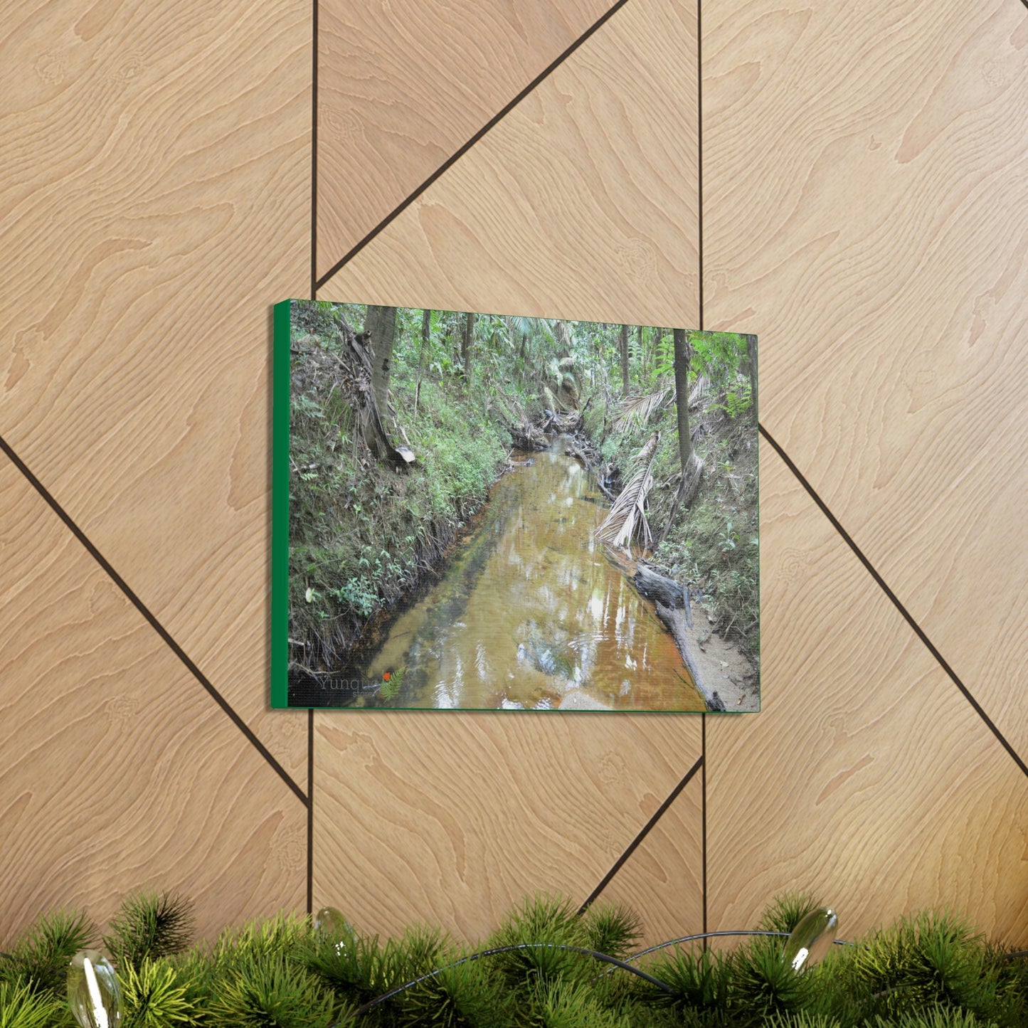 Explorations - Smaller Low-Cost Canvas Gallery Wraps - The Holy Spirit river explorations - El yunque rainforest PR - Green Forest Home