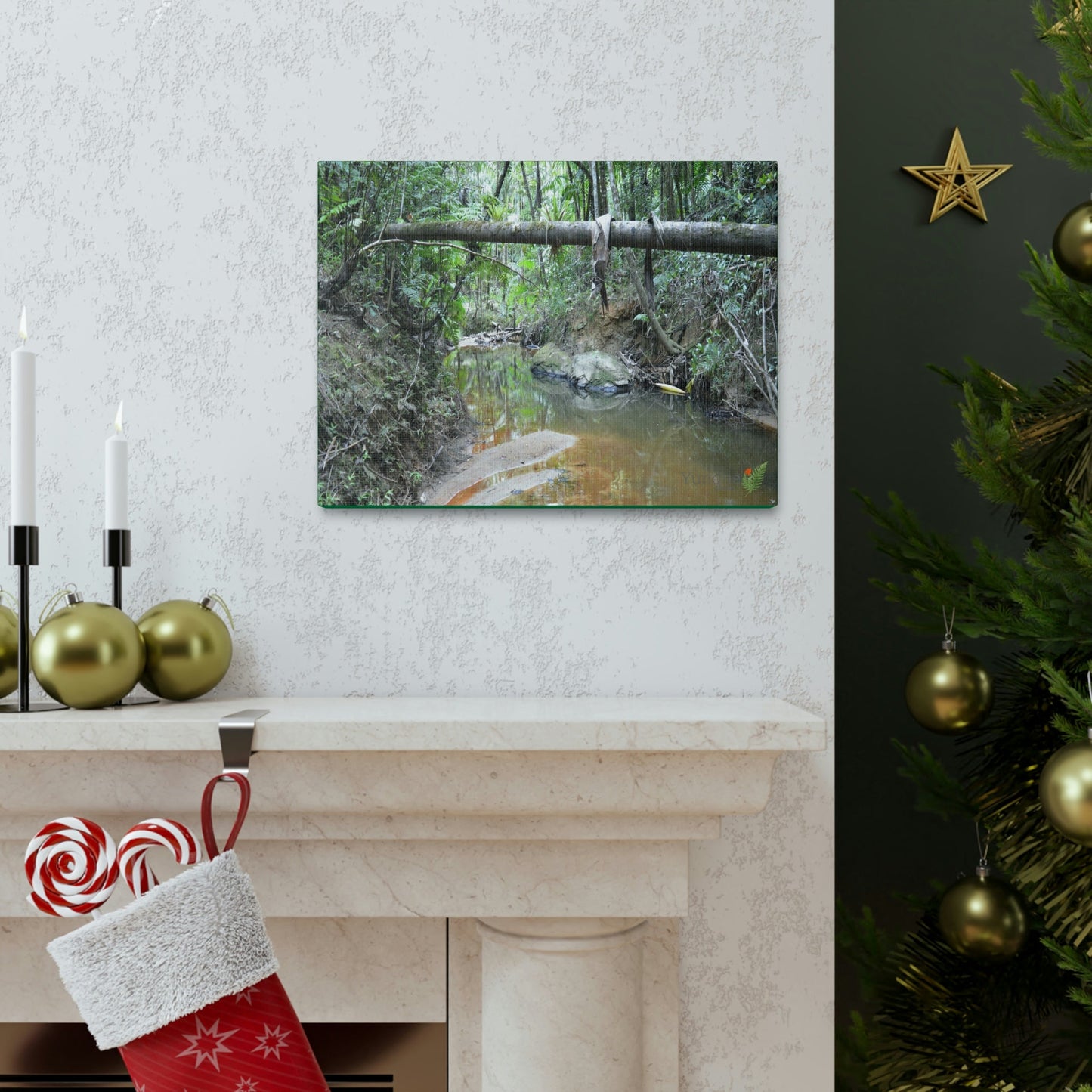Explorations - Smaller Low-Cost Canvas Gallery Wraps - The Holy Spirit river explorations - El yunque rainforest PR - Green Forest Home