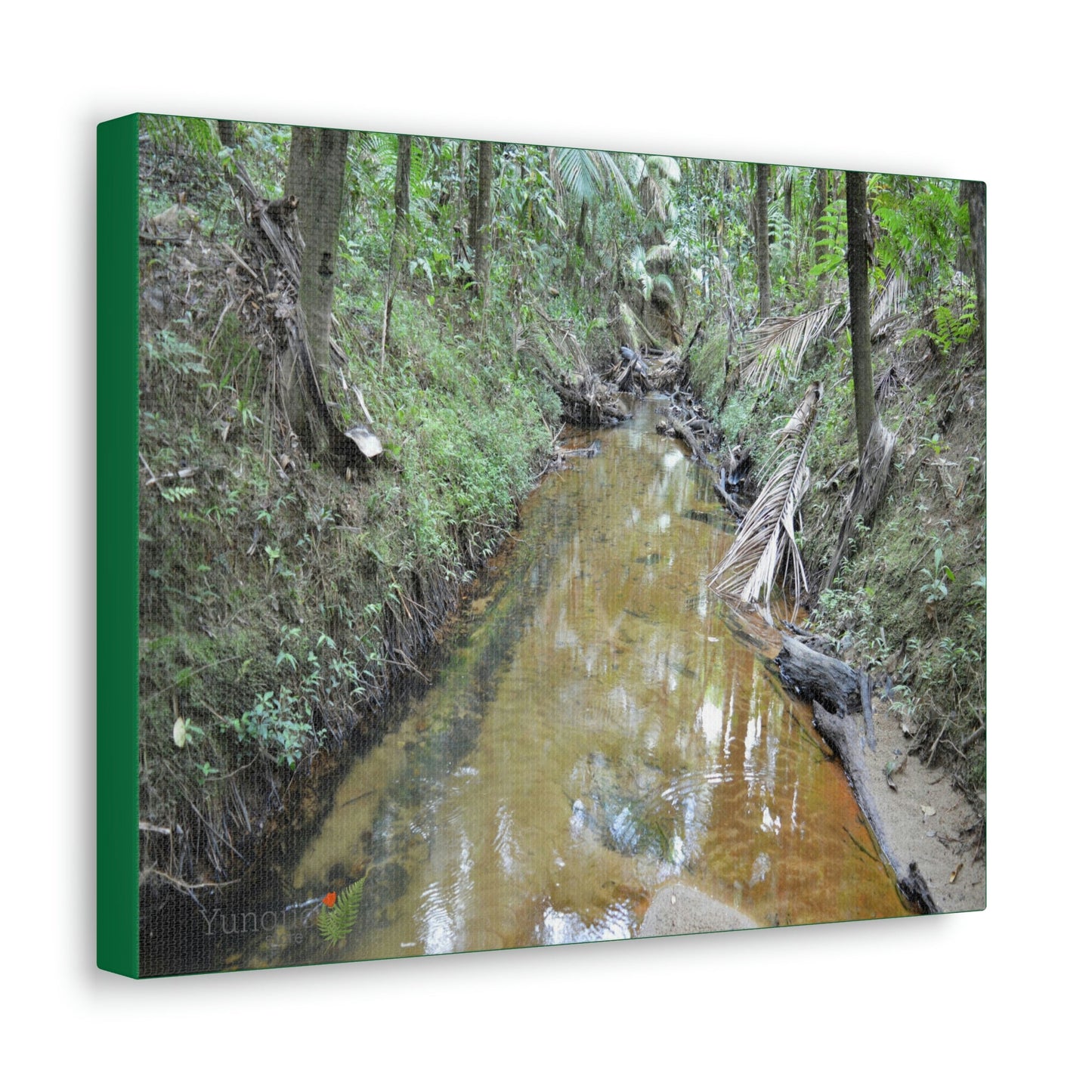 Explorations - Smaller Low-Cost Canvas Gallery Wraps - The Holy Spirit river explorations - El yunque rainforest PR - Green Forest Home