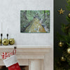 Explorations - Smaller Low-Cost Canvas Gallery Wraps - The Holy Spirit river explorations - El yunque rainforest PR - Green Forest Home
