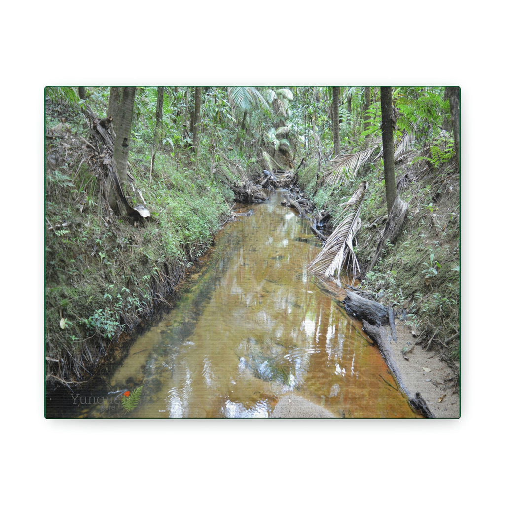 Explorations - Smaller Low-Cost Canvas Gallery Wraps - The Holy Spirit river explorations - El yunque rainforest PR - Green Forest Home