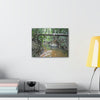 Explorations - Smaller Low-Cost Canvas Gallery Wraps - The Holy Spirit river explorations - El yunque rainforest PR - Green Forest Home
