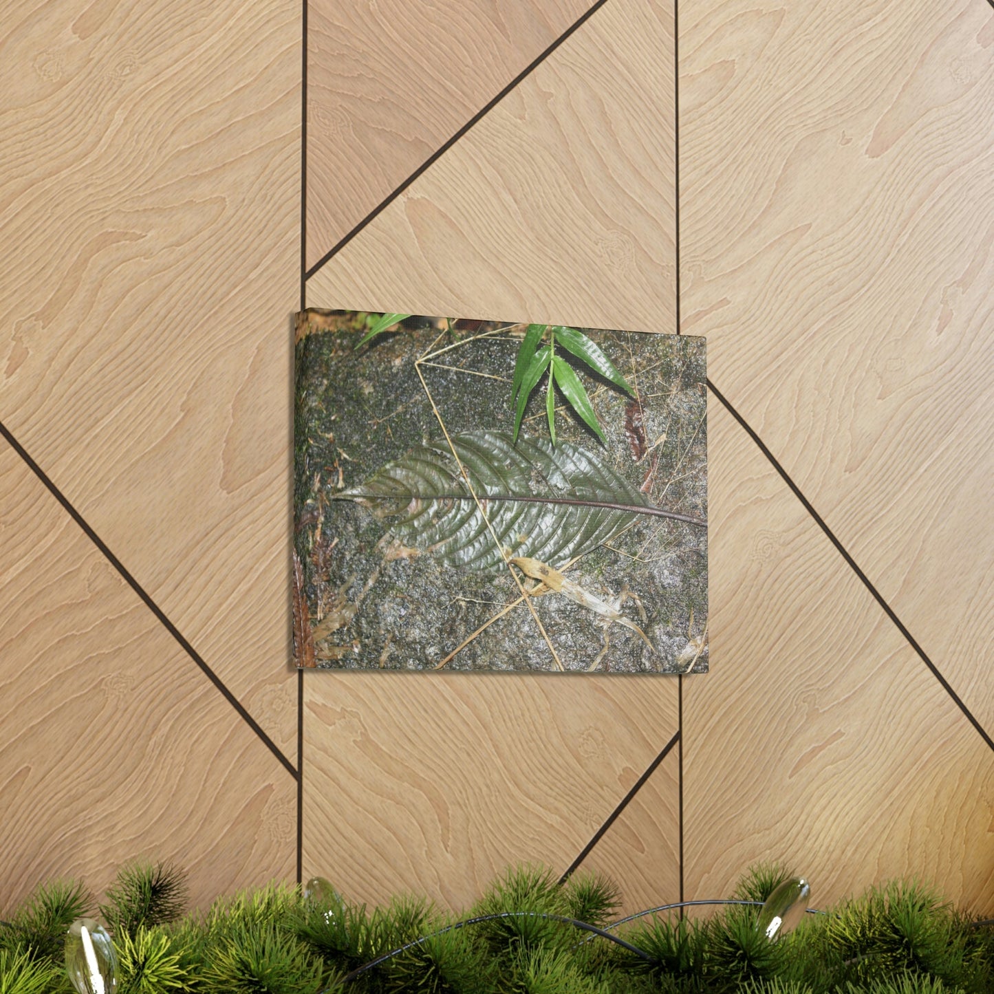 EYNF - anvas Gallery Wraps - Decomposing leaf in organic material floor / Hoja en descomposicion El YUnque PR 2013 - Green Forest Home
