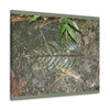 EYNF - anvas Gallery Wraps - Decomposing leaf in organic material floor / Hoja en descomposicion El YUnque PR 2013 - Green Forest Home