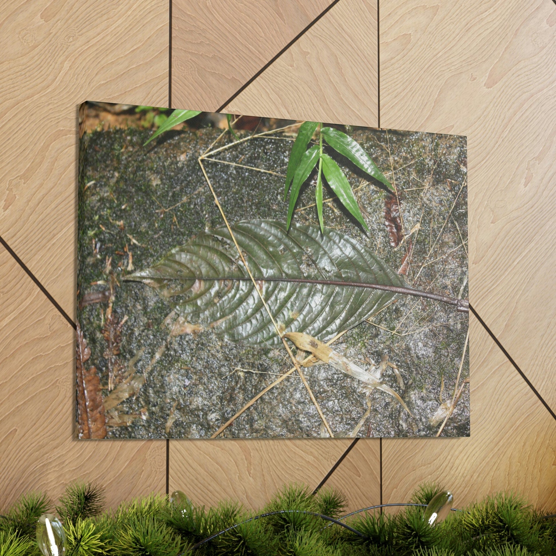 EYNF - anvas Gallery Wraps - Decomposing leaf in organic material floor / Hoja en descomposicion El YUnque PR 2013 - Green Forest Home