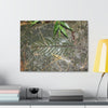 EYNF - anvas Gallery Wraps - Decomposing leaf in organic material floor / Hoja en descomposicion El YUnque PR 2013 - Green Forest Home