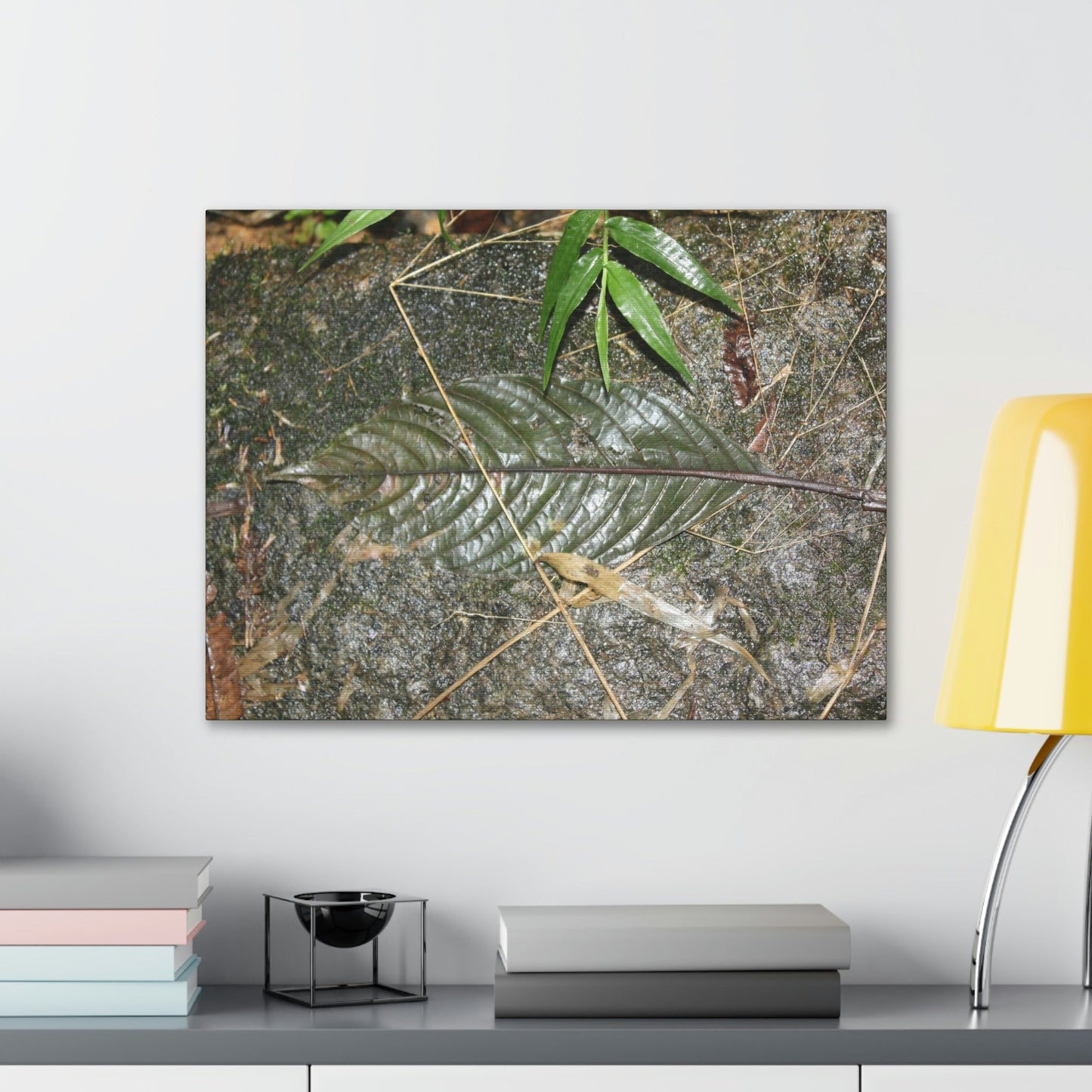 EYNF - anvas Gallery Wraps - Decomposing leaf in organic material floor / Hoja en descomposicion El YUnque PR 2013 - Green Forest Home