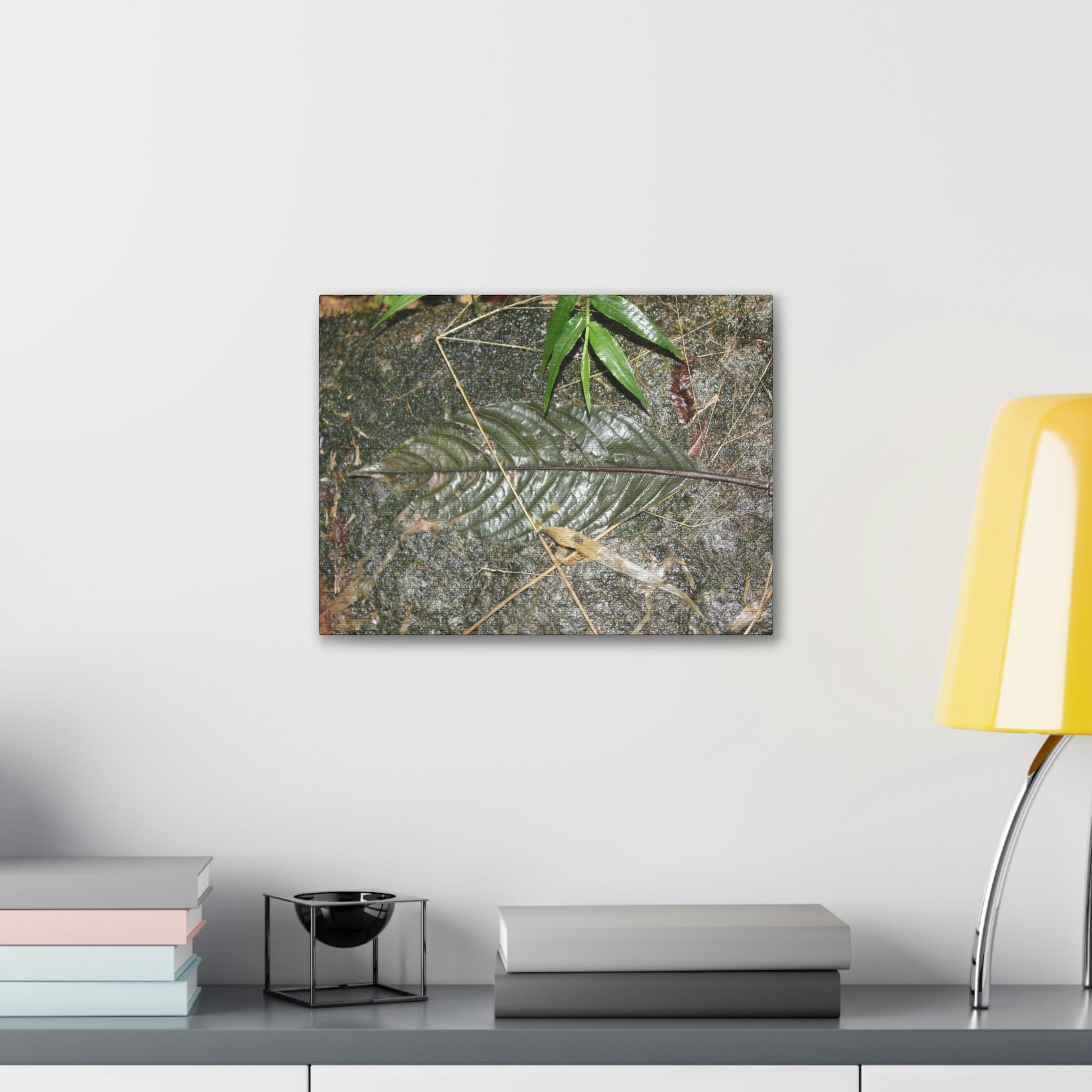 EYNF - anvas Gallery Wraps - Decomposing leaf in organic material floor / Hoja en descomposicion El YUnque PR 2013 - Green Forest Home