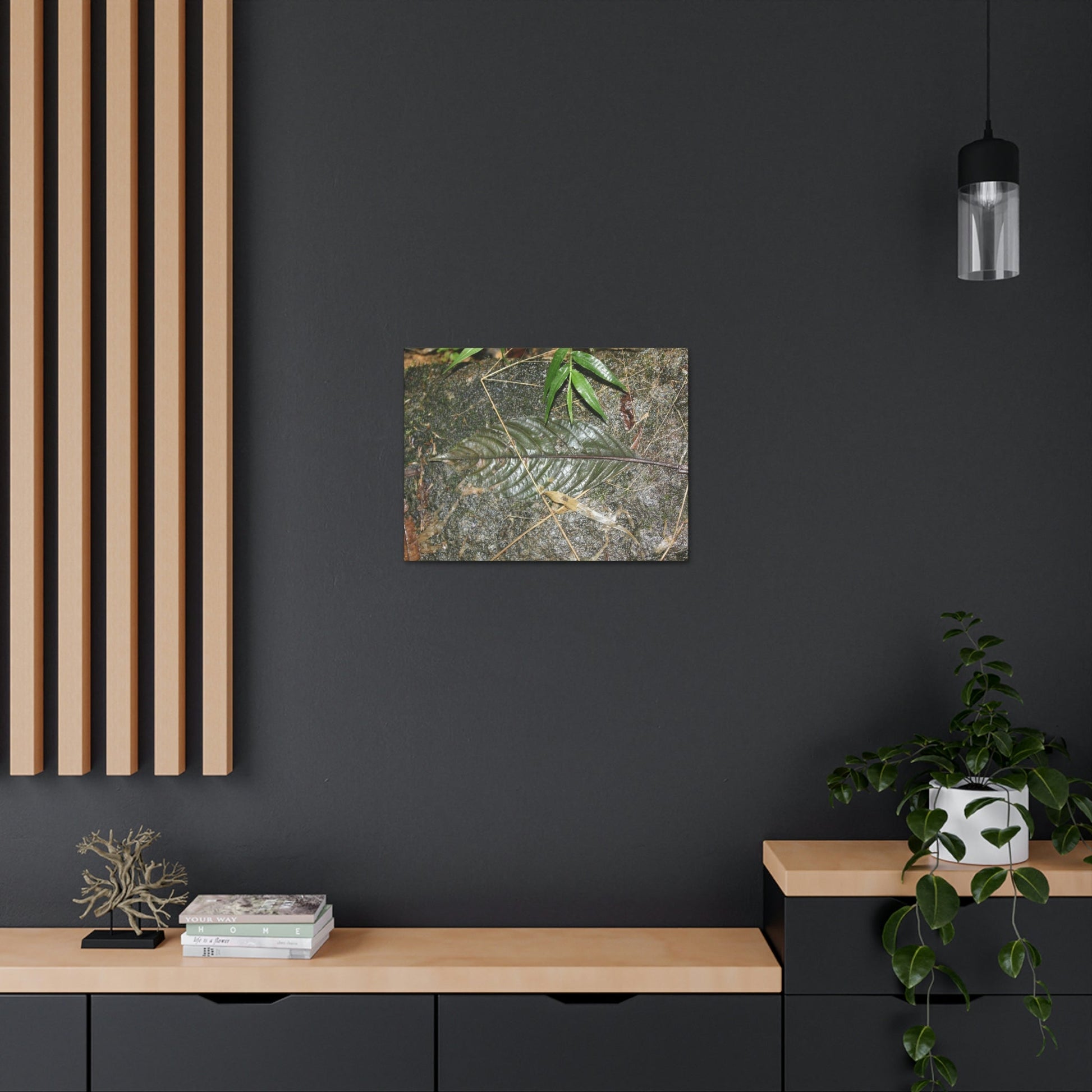 EYNF - anvas Gallery Wraps - Decomposing leaf in organic material floor / Hoja en descomposicion El YUnque PR 2013 - Green Forest Home