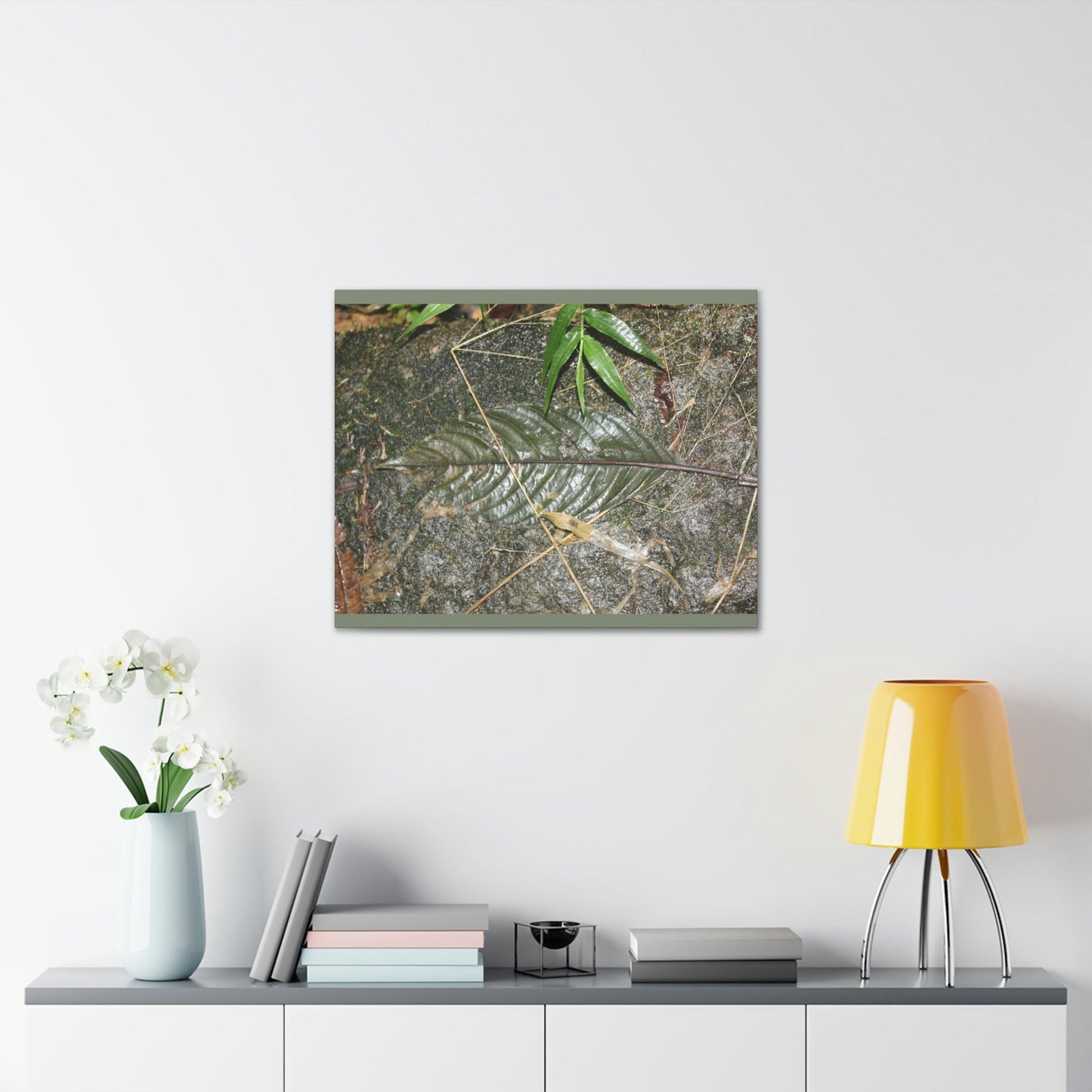 EYNF - anvas Gallery Wraps - Decomposing leaf in organic material floor / Hoja en descomposicion El YUnque PR 2013 - Green Forest Home