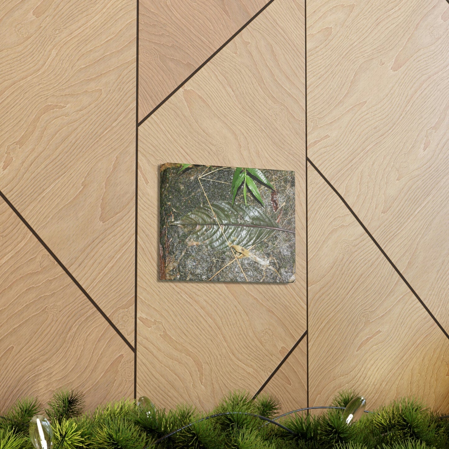 EYNF - anvas Gallery Wraps - Decomposing leaf in organic material floor / Hoja en descomposicion El YUnque PR 2013 - Green Forest Home