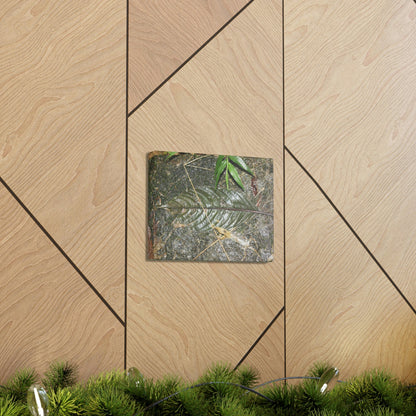 EYNF - anvas Gallery Wraps - Decomposing leaf in organic material floor / Hoja en descomposicion El YUnque PR 2013 - Green Forest Home