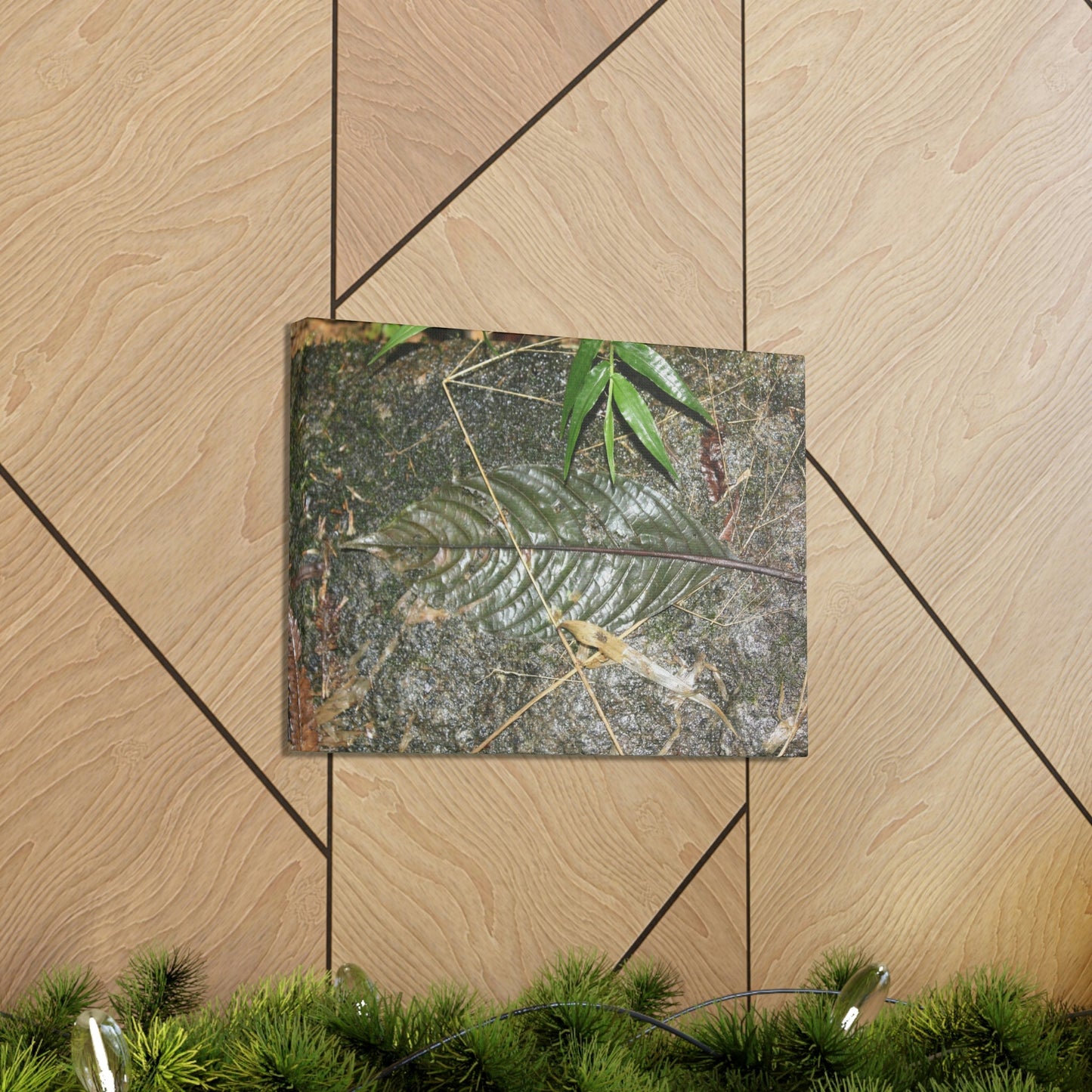 EYNF - anvas Gallery Wraps - Decomposing leaf in organic material floor / Hoja en descomposicion El YUnque PR 2013 - Green Forest Home