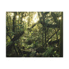 EYNF - Canvas Gallery Wraps - A sunset in the cloud forest in Tradewinds trail - before Hurricane Maria - Green Forest Home