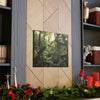 EYNF - Canvas Gallery Wraps - A sunset in the cloud forest in Tradewinds trail - before Hurricane Maria - Green Forest Home