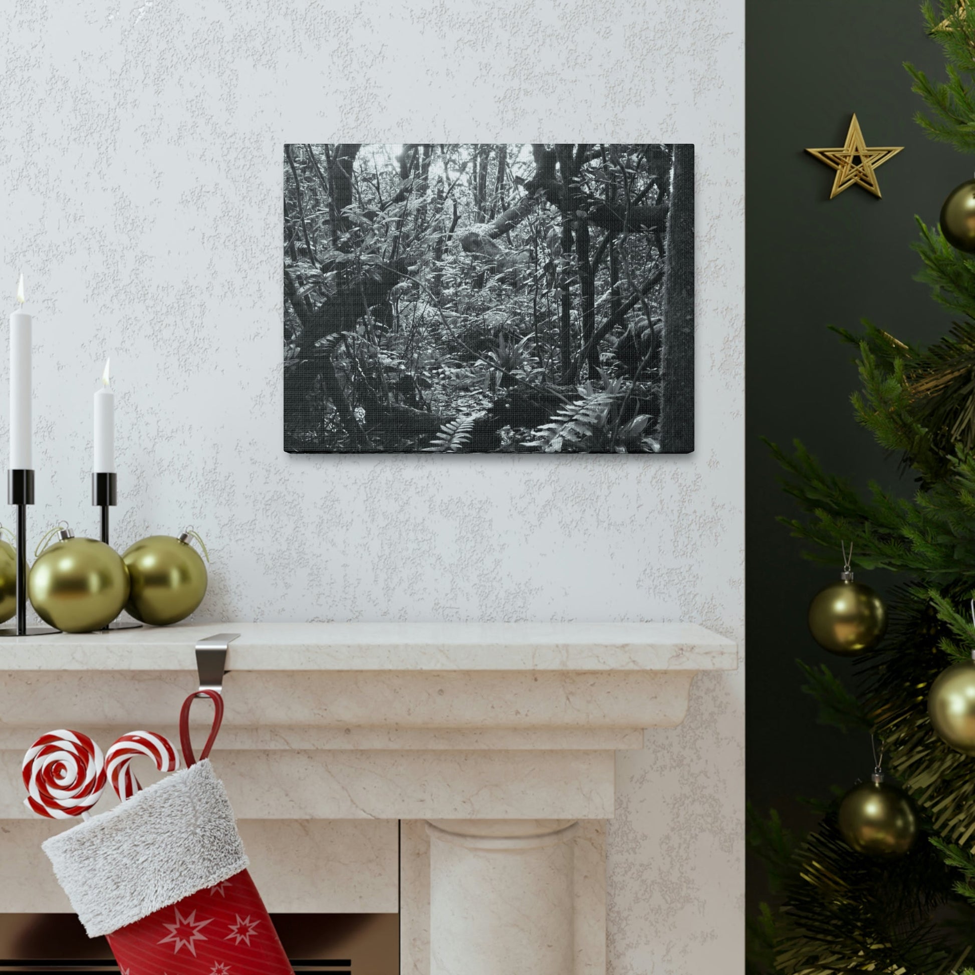 EYNF - Canvas Gallery Wraps - B&W image of the cloud forest near sunset in the Tradewinds trail - before Maria - Green Forest Home