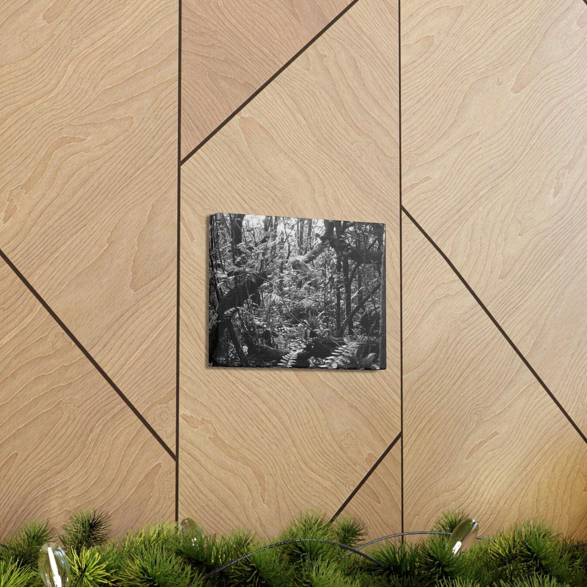 EYNF - Canvas Gallery Wraps - B&W image of the cloud forest near sunset in the Tradewinds trail - before Maria - Green Forest Home