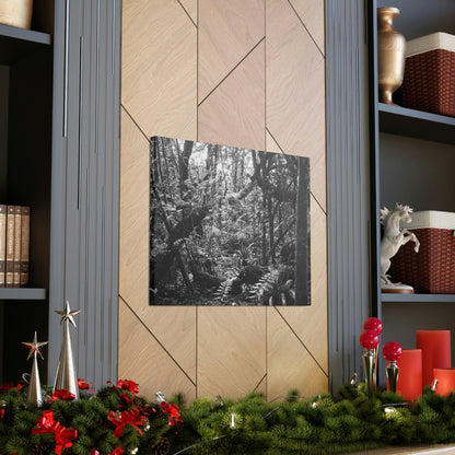 EYNF - Canvas Gallery Wraps - B&W image of the cloud forest near sunset in the Tradewinds trail - before Maria - Green Forest Home