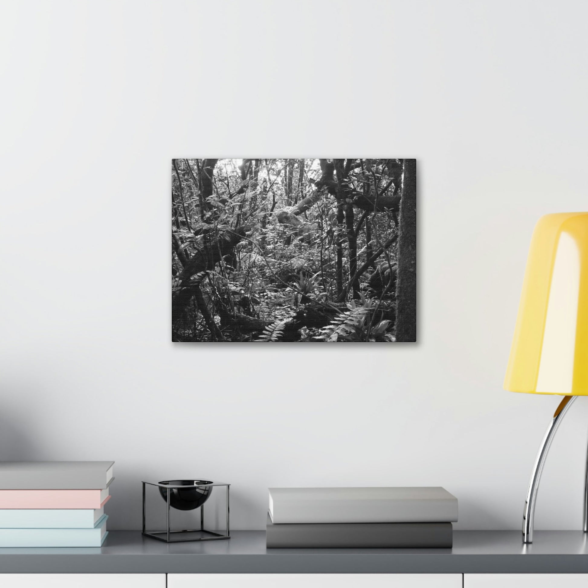 EYNF - Canvas Gallery Wraps - B&W image of the cloud forest near sunset in the Tradewinds trail - before Maria - Green Forest Home