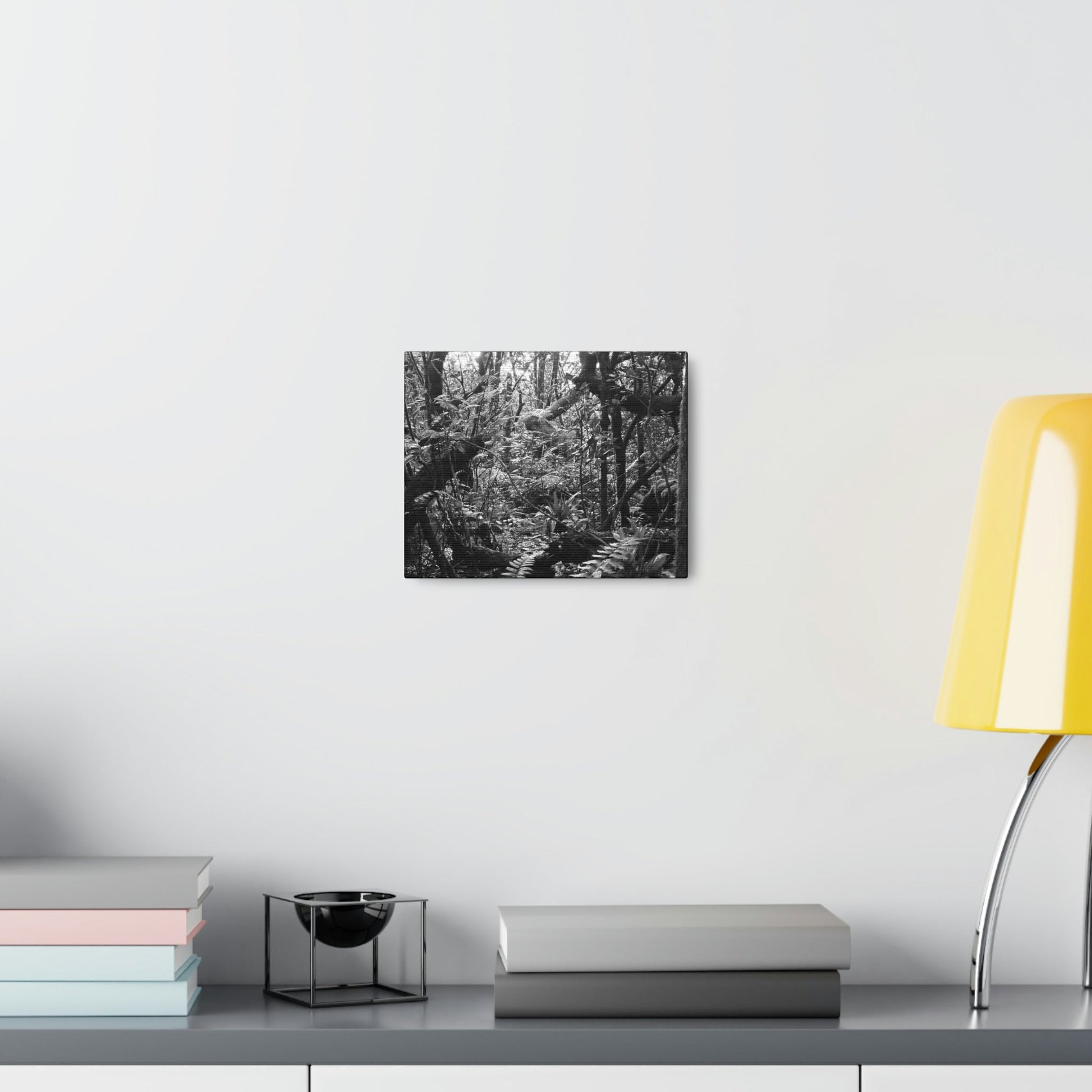 EYNF - Canvas Gallery Wraps - B&W image of the cloud forest near sunset in the Tradewinds trail - before Maria - Green Forest Home