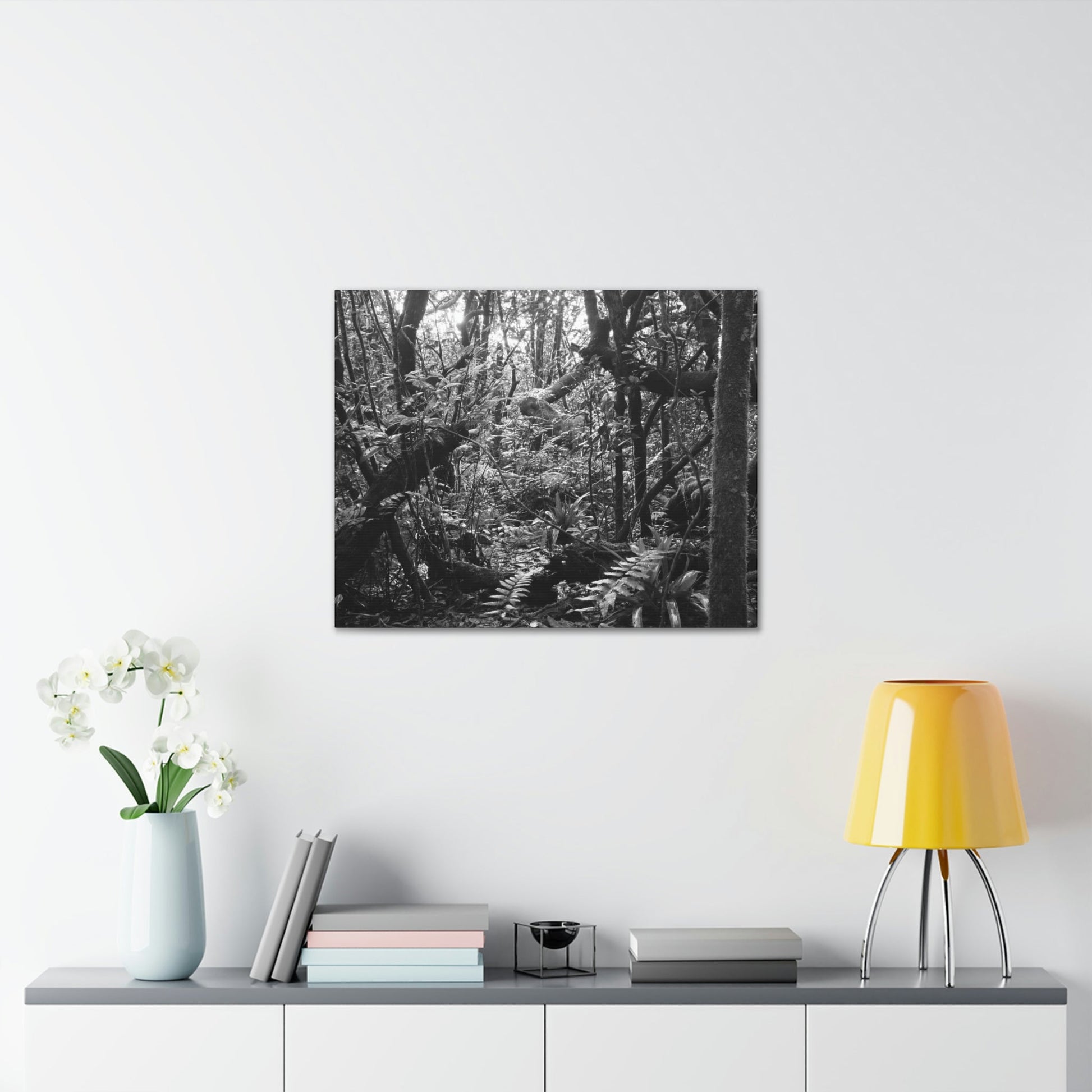 EYNF - Canvas Gallery Wraps - B&W image of the cloud forest near sunset in the Tradewinds trail - before Maria - Green Forest Home