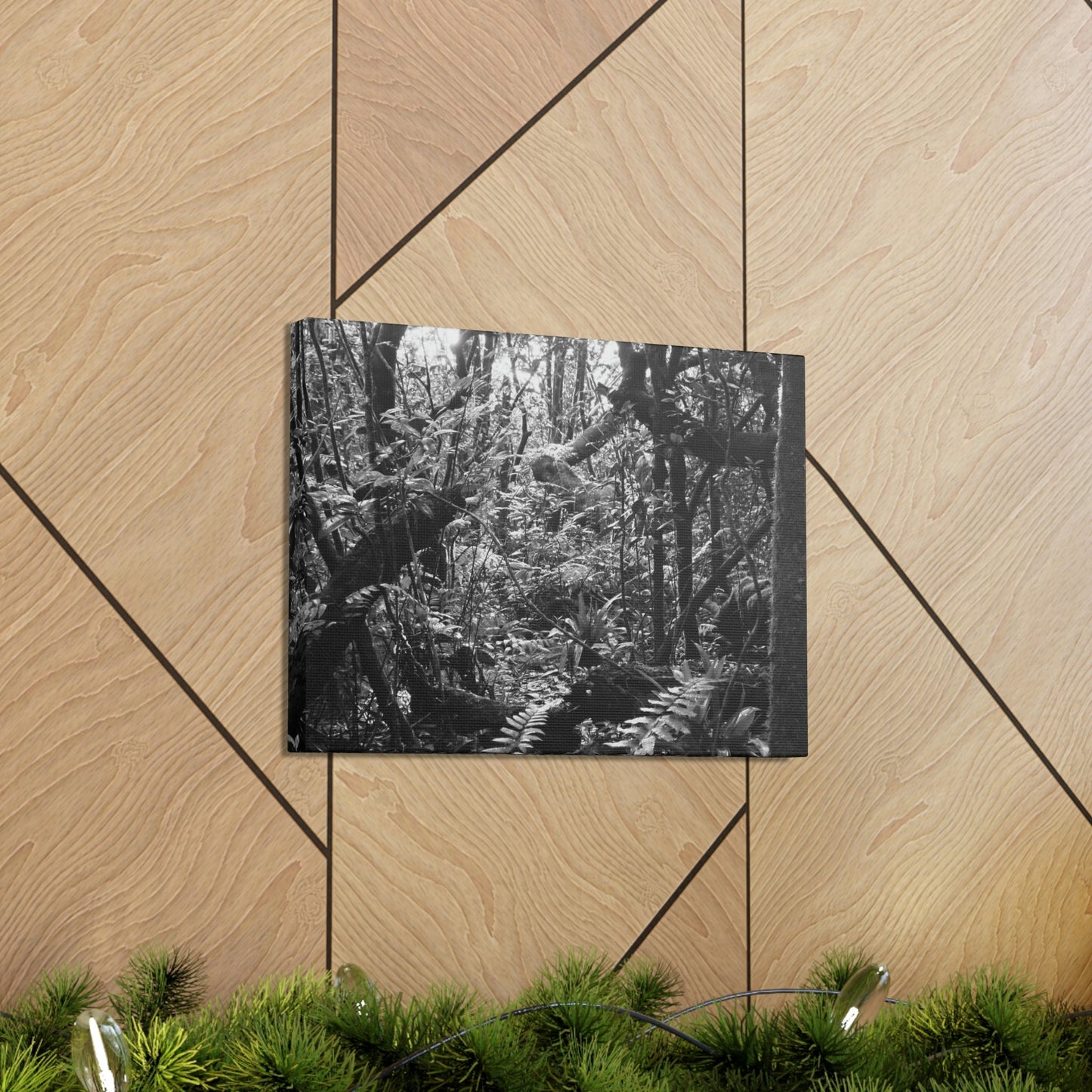 EYNF - Canvas Gallery Wraps - B&W image of the cloud forest near sunset in the Tradewinds trail - before Maria - Green Forest Home