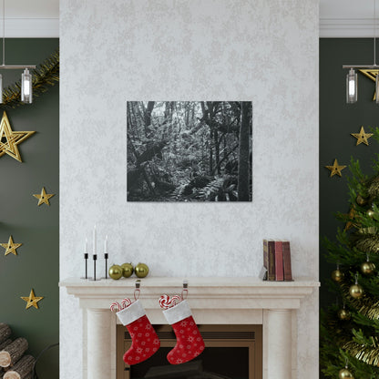 EYNF - Canvas Gallery Wraps - B&W image of the cloud forest near sunset in the Tradewinds trail - before Maria - Green Forest Home