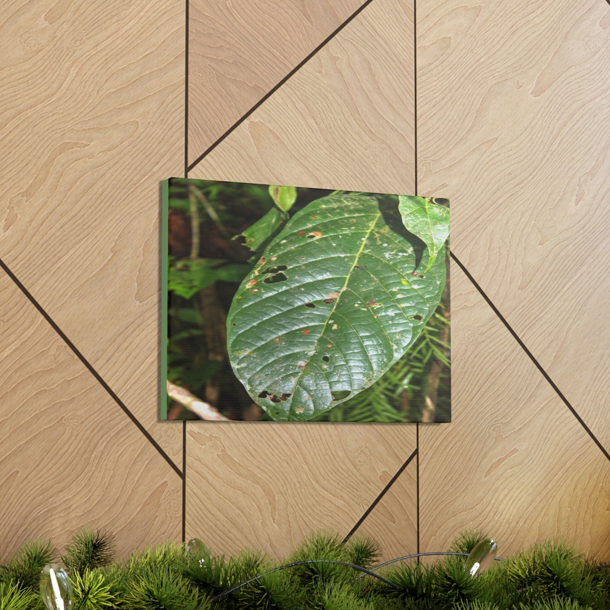 EYNF - Canvas Gallery Wraps - Large tropical leafs in the lower forest - El Yunque rainforest PR - Green Forest Home