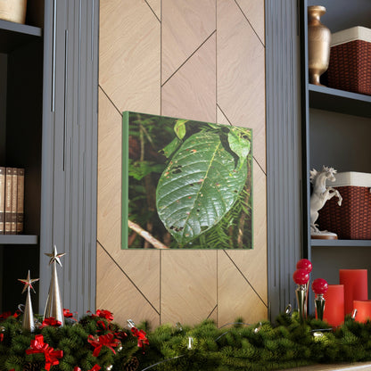 EYNF - Canvas Gallery Wraps - Large tropical leafs in the lower forest - El Yunque rainforest PR - Green Forest Home