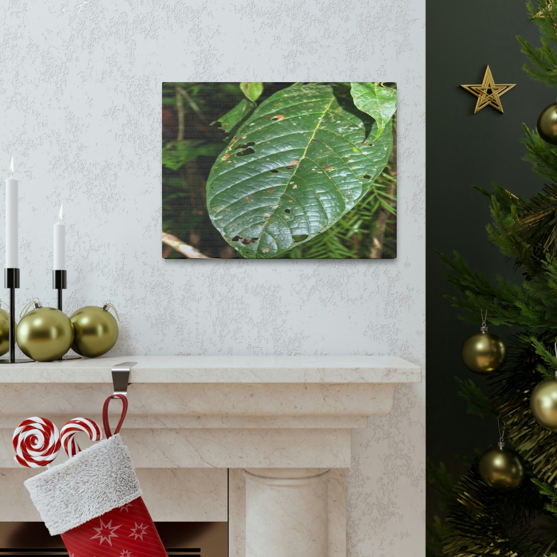 EYNF - Canvas Gallery Wraps - Large tropical leafs in the lower forest - El Yunque rainforest PR - Green Forest Home