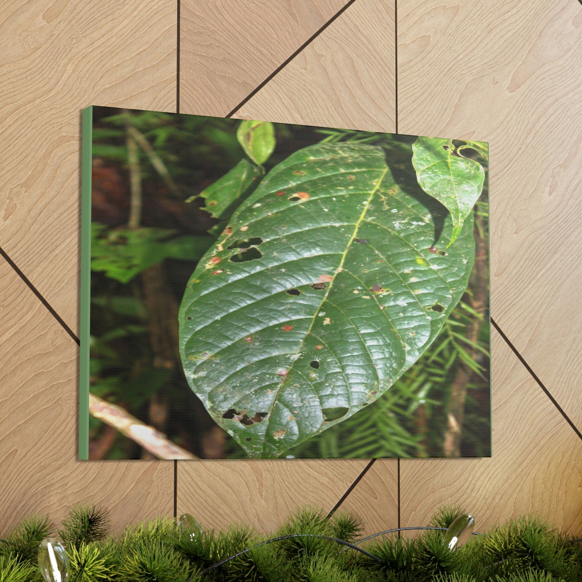 EYNF - Canvas Gallery Wraps - Large tropical leafs in the lower forest - El Yunque rainforest PR - Green Forest Home