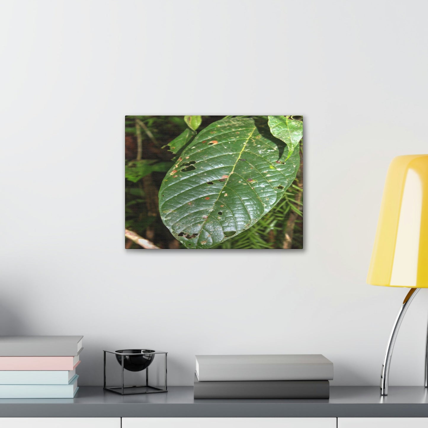 EYNF - Canvas Gallery Wraps - Large tropical leafs in the lower forest - El Yunque rainforest PR - Green Forest Home