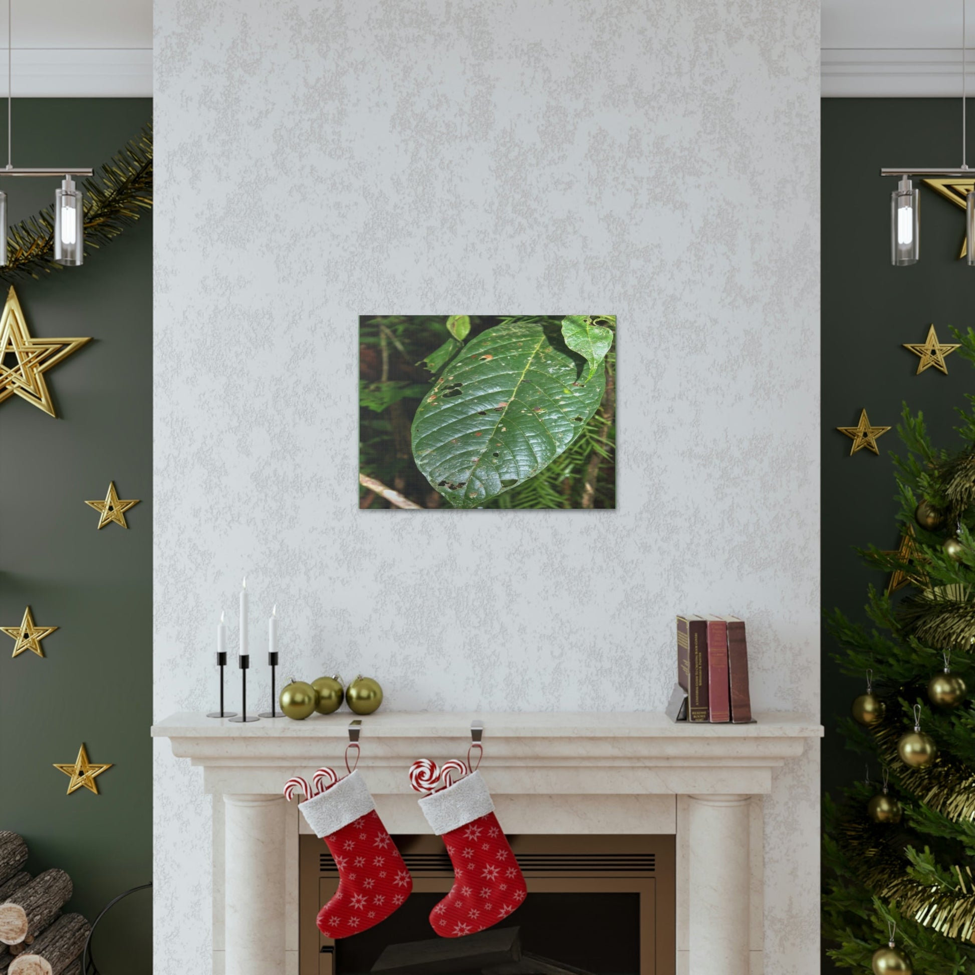 EYNF - Canvas Gallery Wraps - Large tropical leafs in the lower forest - El Yunque rainforest PR - Green Forest Home