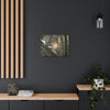EYNF - Canvas Gallery Wraps - Sunset in the Sierra Palm forest - Tradewinds trail - El Yunque rainforest PR - Green Forest Home